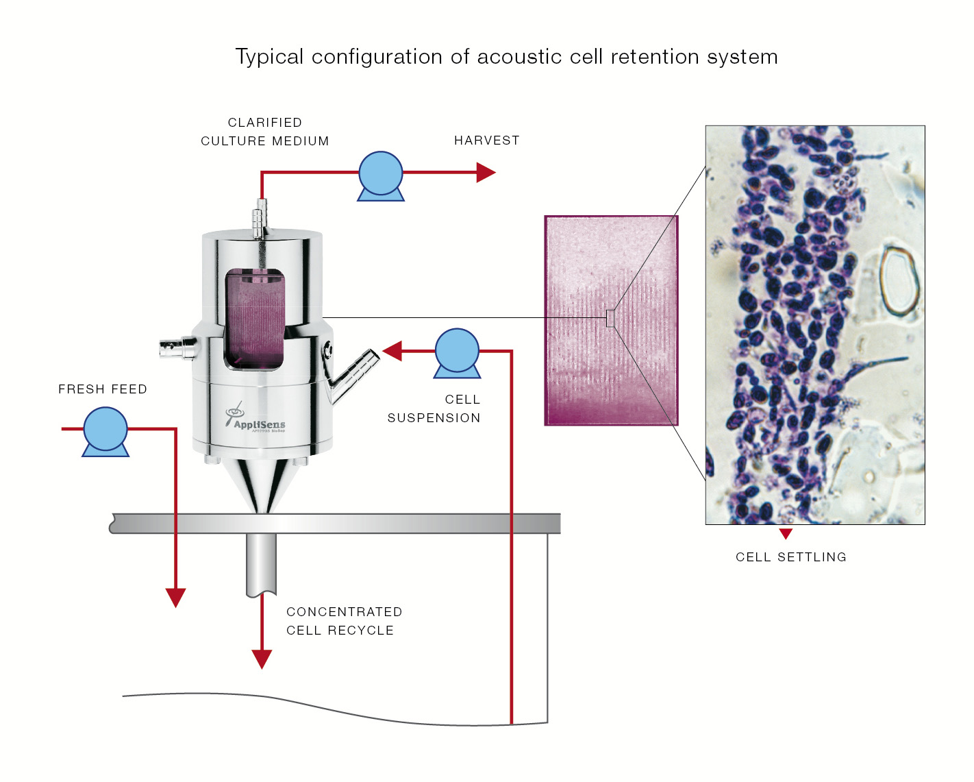 Akusztikus cellatartó rendszer