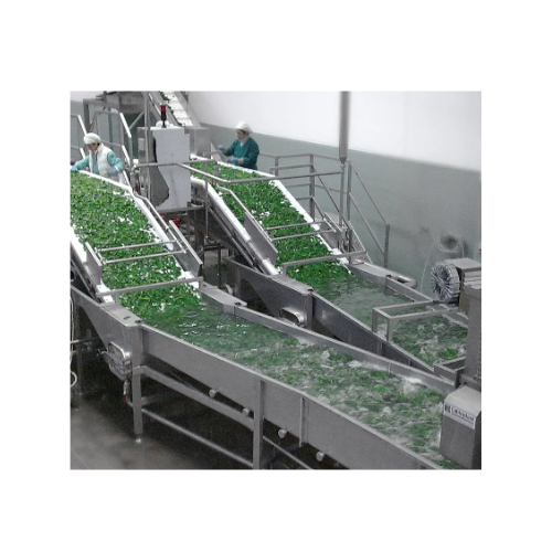 Leaf vegetable sorting and cooling system