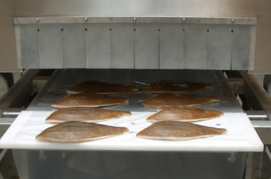 Kapcsolat fagyasztó