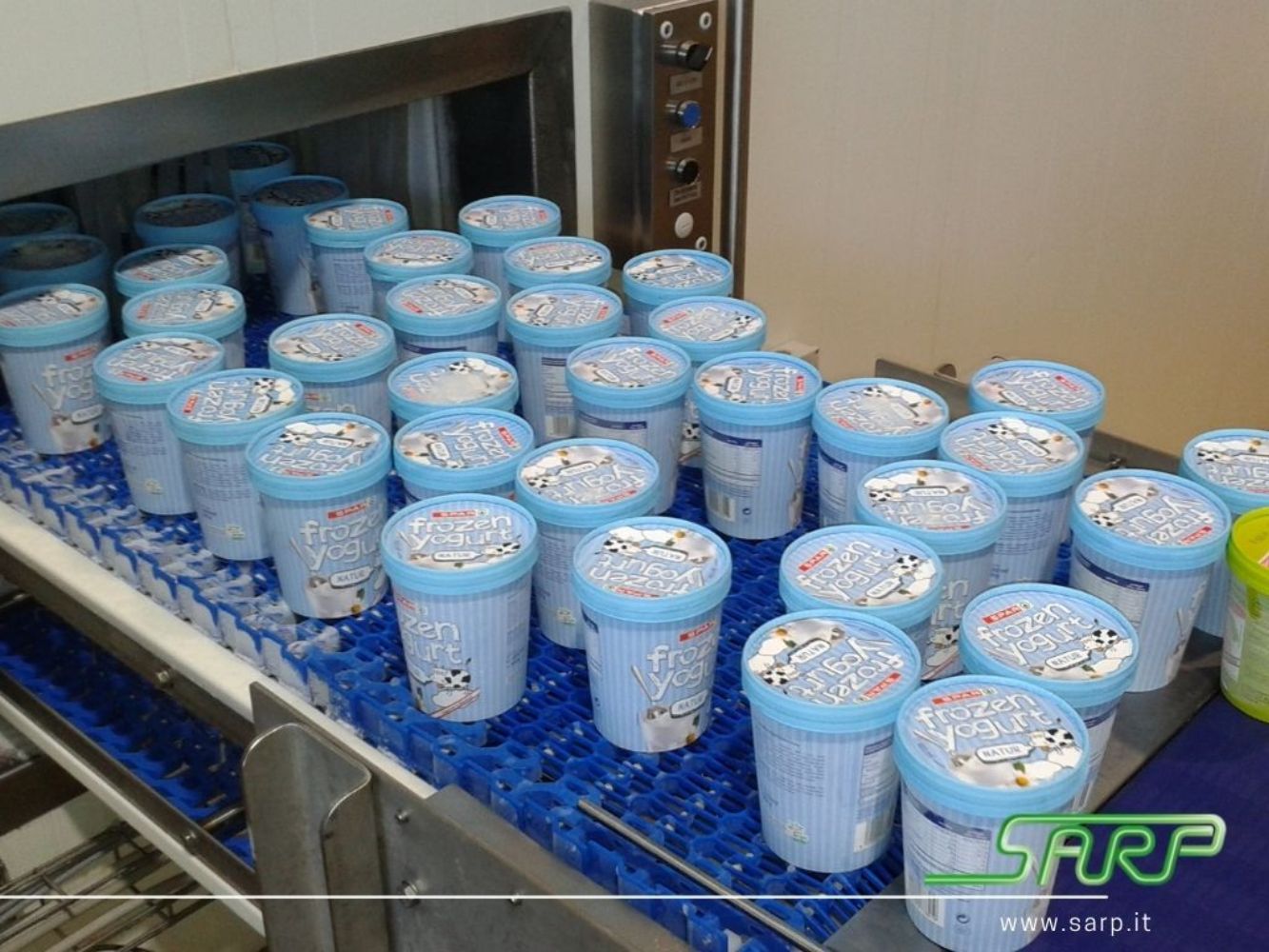 Conveyor Systems for Packaged Ice Cream Products